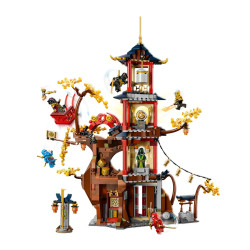 LEGO® 71795 Ninjago - Świątynia smoczej energii